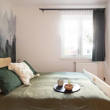 Prestige Przy Potoku Centrum Apartment Zakopane